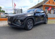 Hyundai Tucson 1.6 110kW  Family Edition, 75 361km.